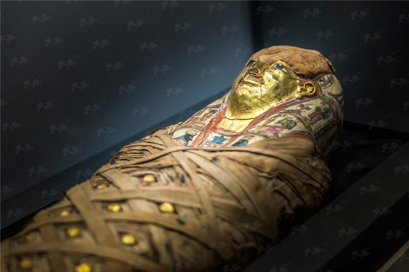 凯时娱乐·k66(中国游)官方网站